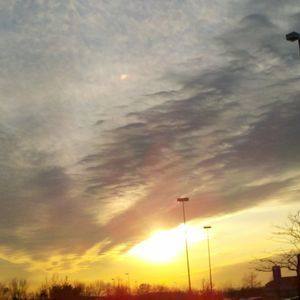 Meet your Posher, Priscilla